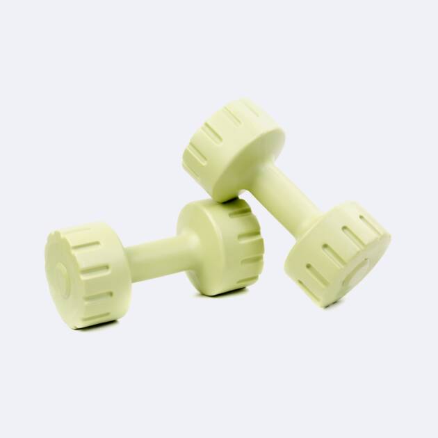 Fitness weights